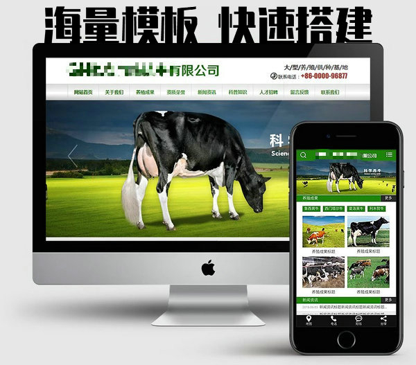 東明網(wǎng)站建設(shè)制作每年怎么收費(fèi)